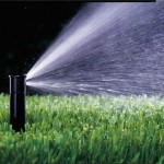 Irrigation Photo