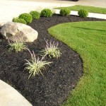 black_mulch_1